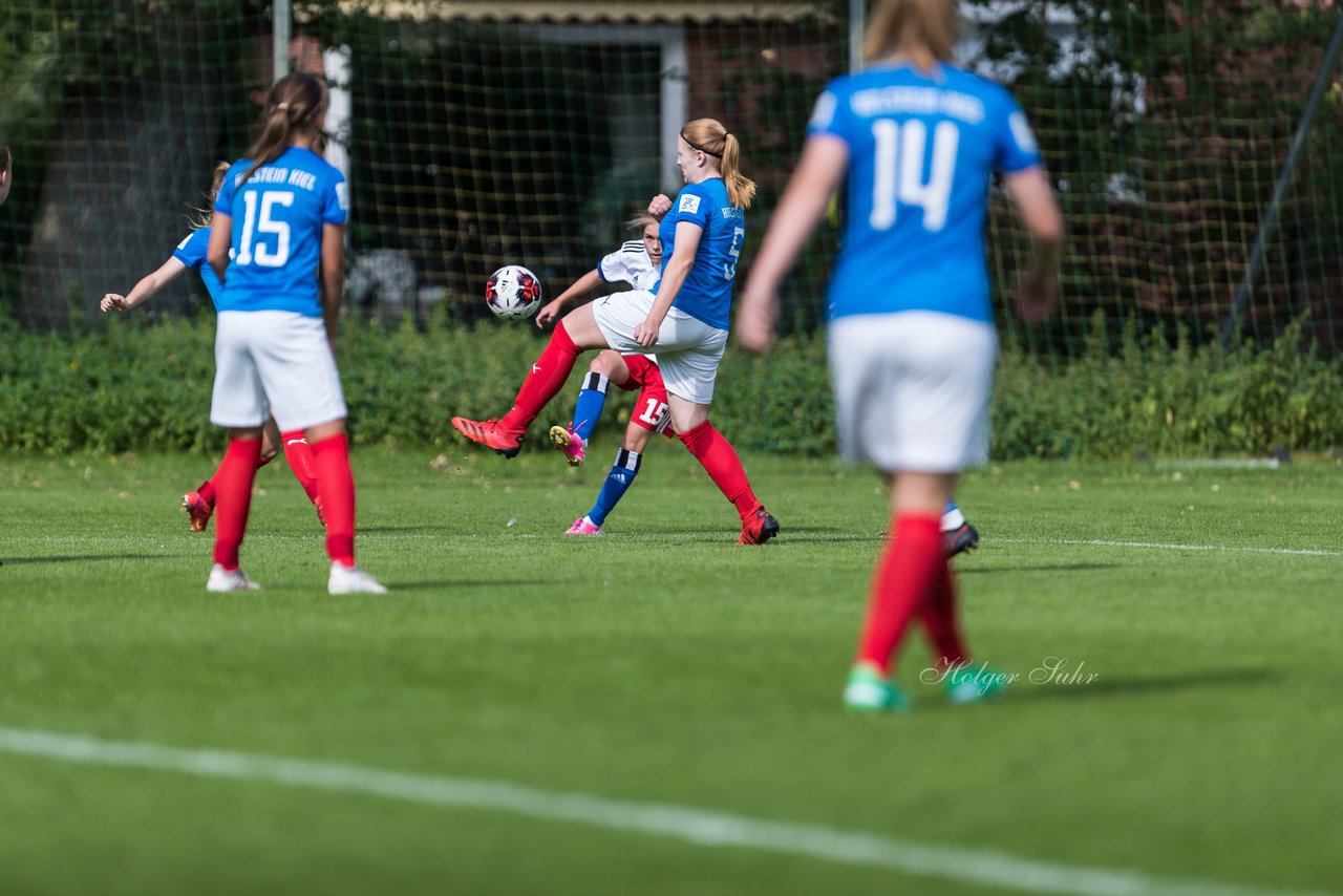 Bild 263 - wBJ Hamburger SV - Holstein Kiel : Ergebnis: 2:0